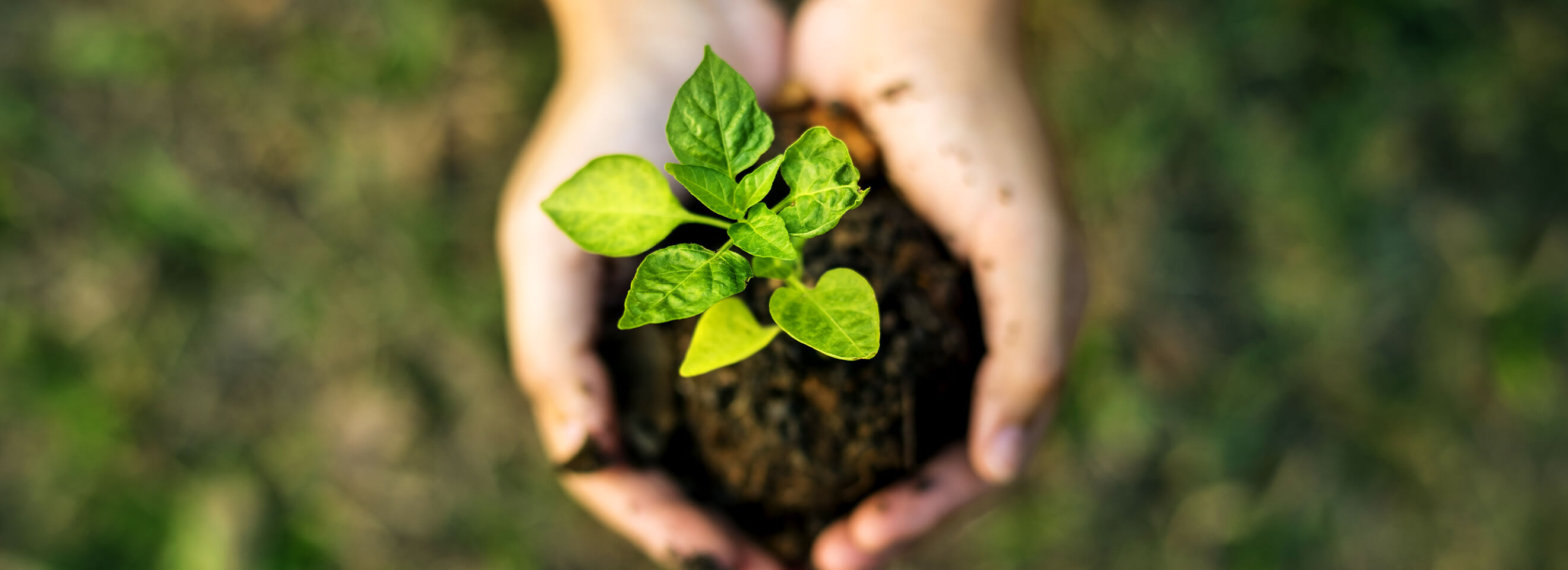 Set 6 Sottobicchieri Rattan Algarve - Segni Particolari - Foto 10