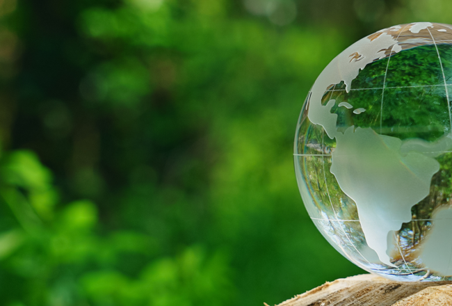 Glass globe sitting on a log with forest in background