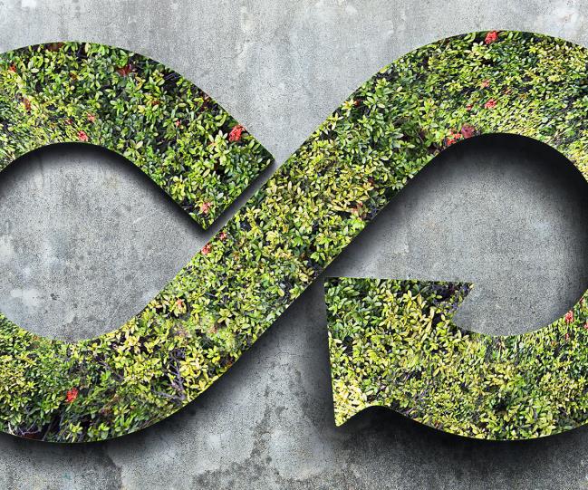 Circular economy – Infinite symbol made of trees and grass