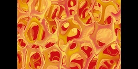 Covestro Verhaltenskodex für Zulieferer-Managementsysteme