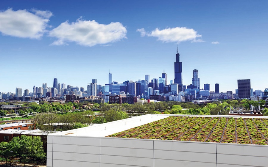 Photograph of a green district, in the foreground a building with plants on the roof.