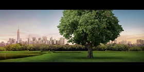 Park landscape in front of a skyline
