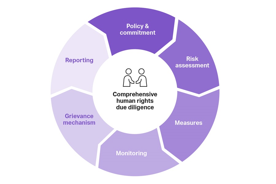 Human rights due diligence diagram: policy, risk assessment, measures, monitoring, grievance mechanism & reporting.