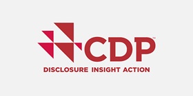CDP Climate Change – Disclosure Insight Action