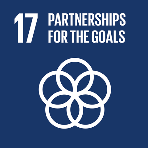 UNSDG Goal 17: Partnerships For Goals