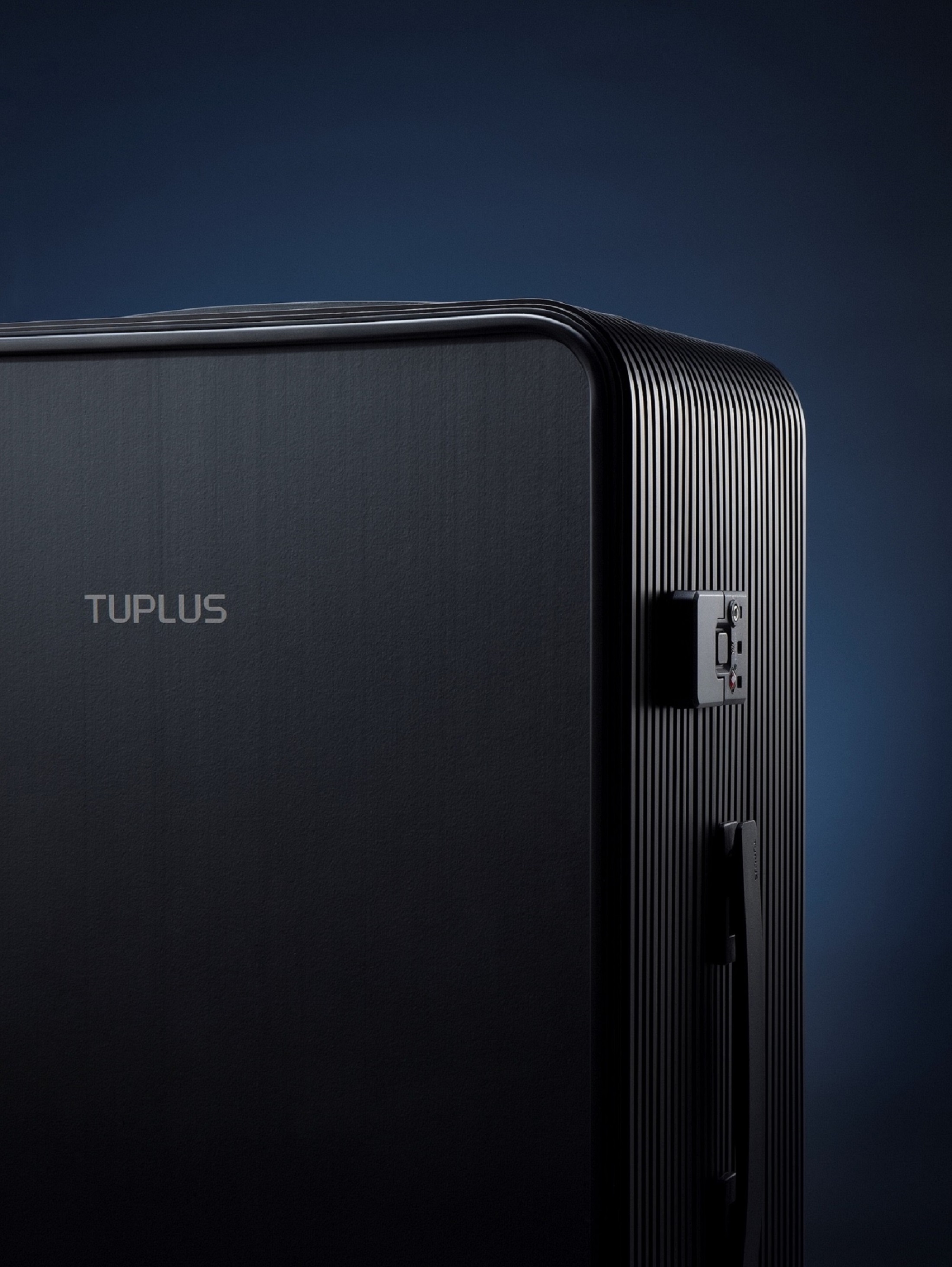 loewe cushion tote sale