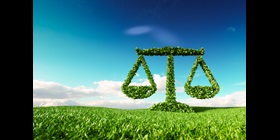 由树木制成的体重秤图片